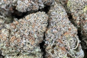 London Truffle