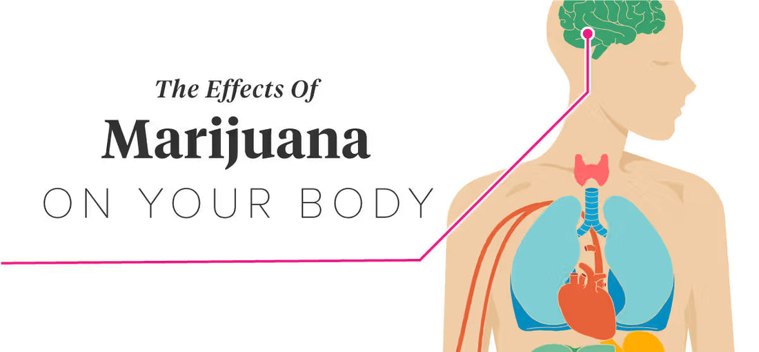 Can Marijuana Hurt More Than It Heals?